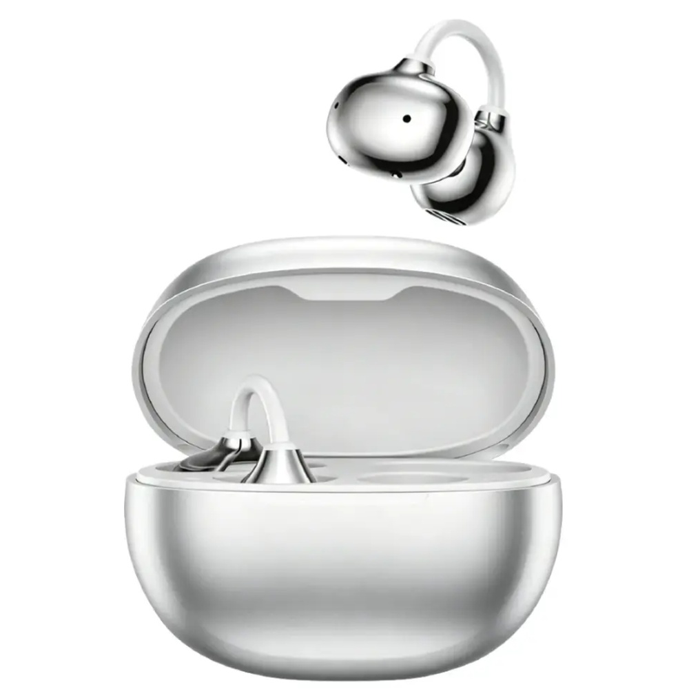 Green Lion Salvador Earbuds Silver Kuwait