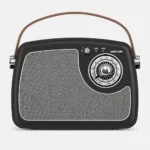Green Lion Retro Radio Speaker Kuwait Black